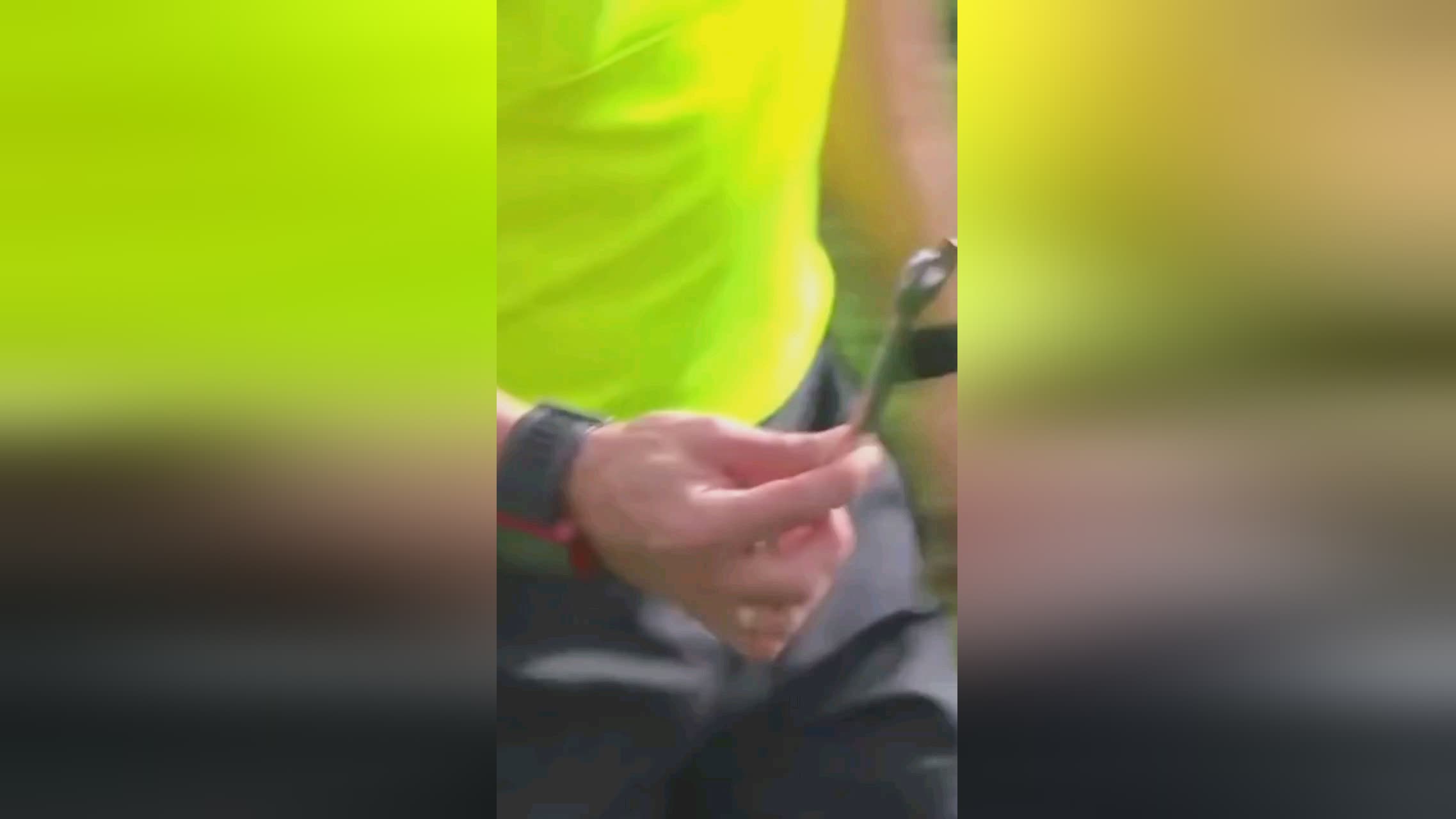 须快